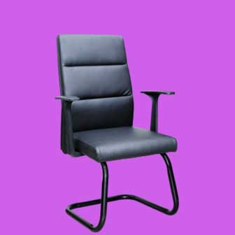 link to guest chair web page